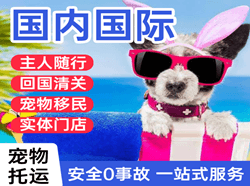 临沧博尚机场邮寄国际宠物托运 【国